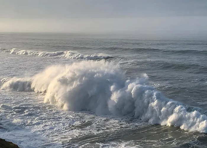 Апарт-отель La Linea Del Mar Trasierra