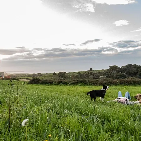 La Linea Del Mar アパート